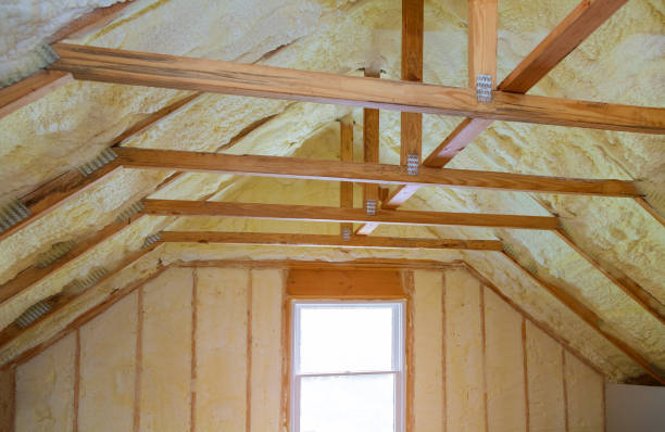 Insulation Replacement Services in Dahlonega, GA