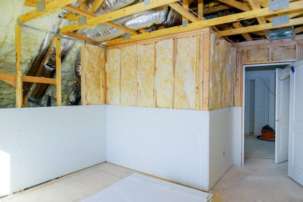 Best Cellulose Insulation  in Dahlone, GA