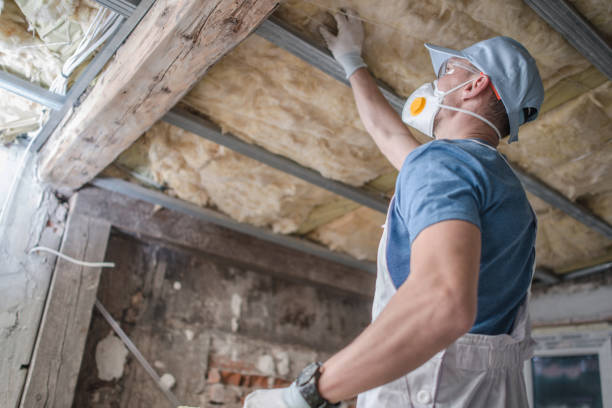 Best Fiberglass Insulation  in Dahlone, GA