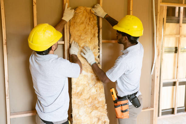 Trusted Dahlonega, GA Insulation Contractor Experts